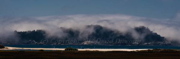 Point Lobos Fog Cloak