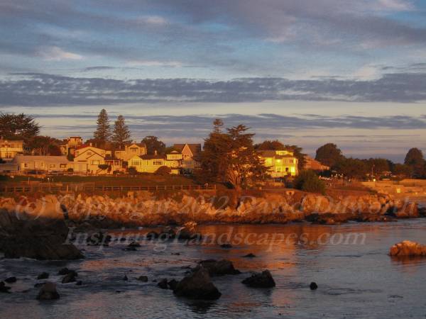 Waterfront Morning, Pacific Grove