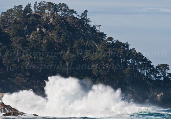 Water Thunder, Pt Lobos