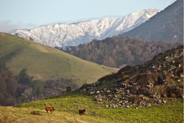 Big Sur Snow and Horses