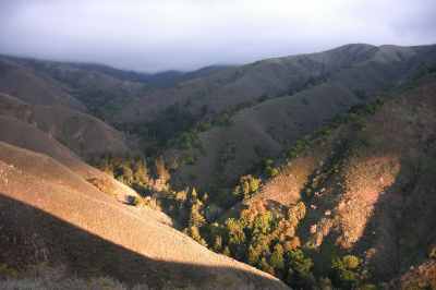 Soberanes Canyon Light