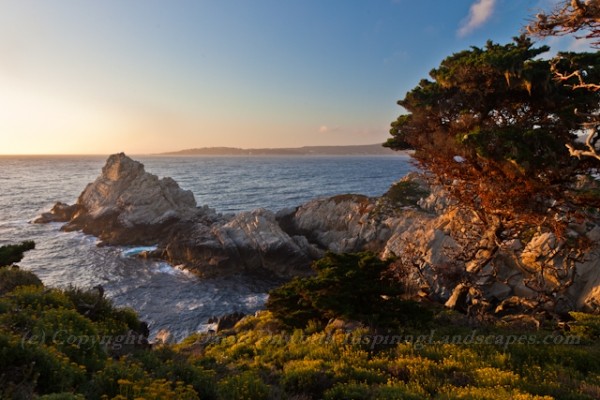 Wild Pacific Garden, Pt Lobos